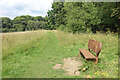 Bench in a Clearing, Common Wood