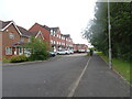 Canalside Houses