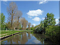 Canal near Fordhouses in Wolverhampton