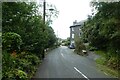 Road near Gwynfryn House