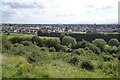 View over Evesham