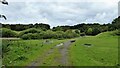 Track in Hulton Park