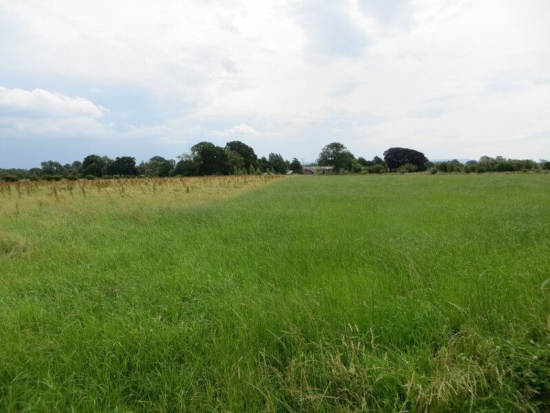 Hay field near to Rigghead © Peter Wood cc-by-sa/2.0 :: Geograph ...