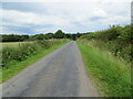 NY4666 : Hedge-lined minor road between Horsegills and Hallfoot by Peter Wood