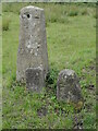 Old Boundary Marker on Lower Farm, Barton