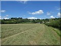 Field at Chantry Farm