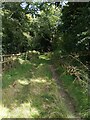TM1118 : Fence by Footpath 7 by Glyn Baker