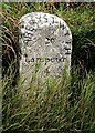 Old Milestone by the A482, Temple Bar, Llanfihangel Ystrad Parish