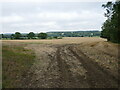 Stubble field off Carlton Road