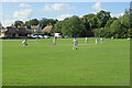 Cricket at Sutton