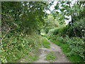 Bridleway to Sharnbrook