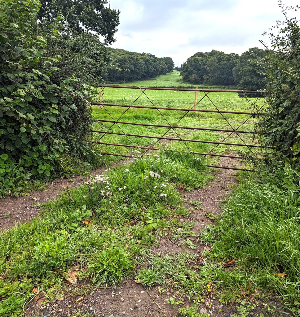 field-gate-set-back-from-crick-road-jaggery-cc-by-sa-2-0