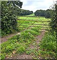 Field gate set back from Crick Road, Monmouthshire