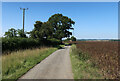 Hertfordshire Way towards Windcott