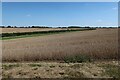 Small valley near Mutfords