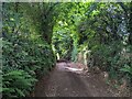 Track heading south to Waxway Hollow farm