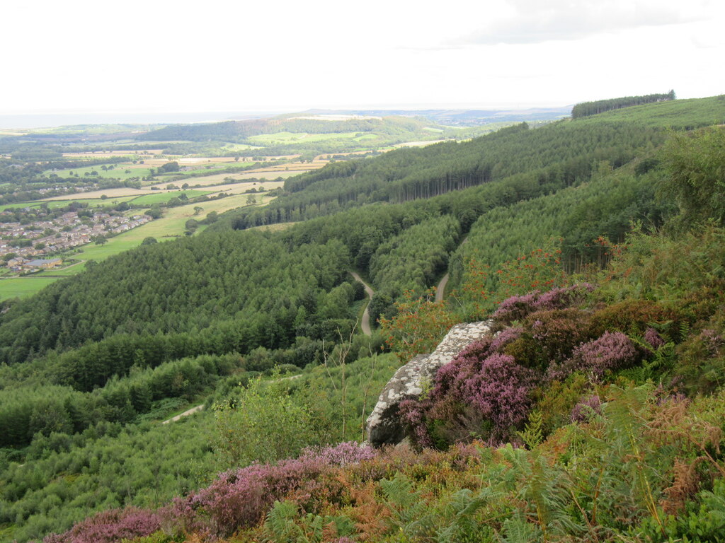 Guisborough Woods © T Eyre Cc By Sa20 Geograph Britain And Ireland 5379