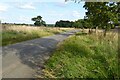 Country road near Cottesbrooke