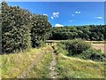 Footpath Approaching Kegworth Road