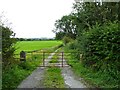 Track off Denham Lane