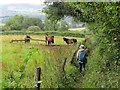 Caer Llan - Footpath