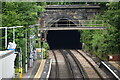 Elmstead Woods Tunnel