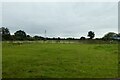 Fields north of Bad Bargain Lane