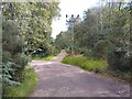 Bucklebury Common byway