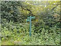 Bucklebury Common byway and footpath signpost