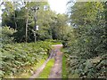 Bucklebury Common byway