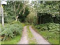 Bucklebury Common byway