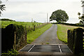 Cattle Grid, Mansion House Farm