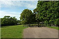 Cattle grid, Melbury Park