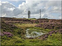 SO5986 : Abdon Burf (Brown Clee Hill) by Fabian Musto
