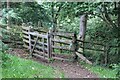 Pedestrian gate at top of woodland path