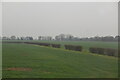 Misty farmland