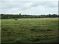 Haymaking under a cloudy sky