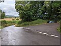 Lane junction, bin and rubbish