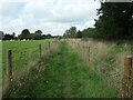 Public footpath, South Town, Medstead