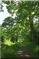 Bridleway, Melbury Park