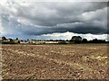 Ploughed Field off Beck Lane