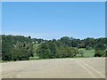 Fields near West Hatch