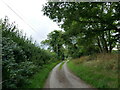 Church Lane near Odell