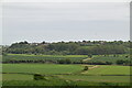 View across the Brede Valley to Winchelsea