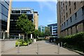 Entering Central Park, Leeds