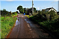 Muddy along Ardmore Road