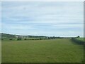 Grassland south-east of Milborne Wick