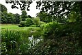 Prudhoe Castle: The Pond