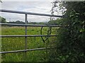 Awliscombe : Grassy Field & Gate