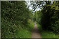 Footpath beside the Middleton Railway